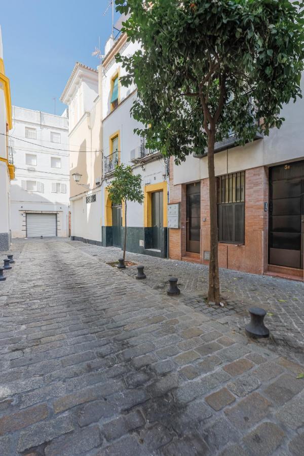 San Diego Alto Seville Luaran gambar